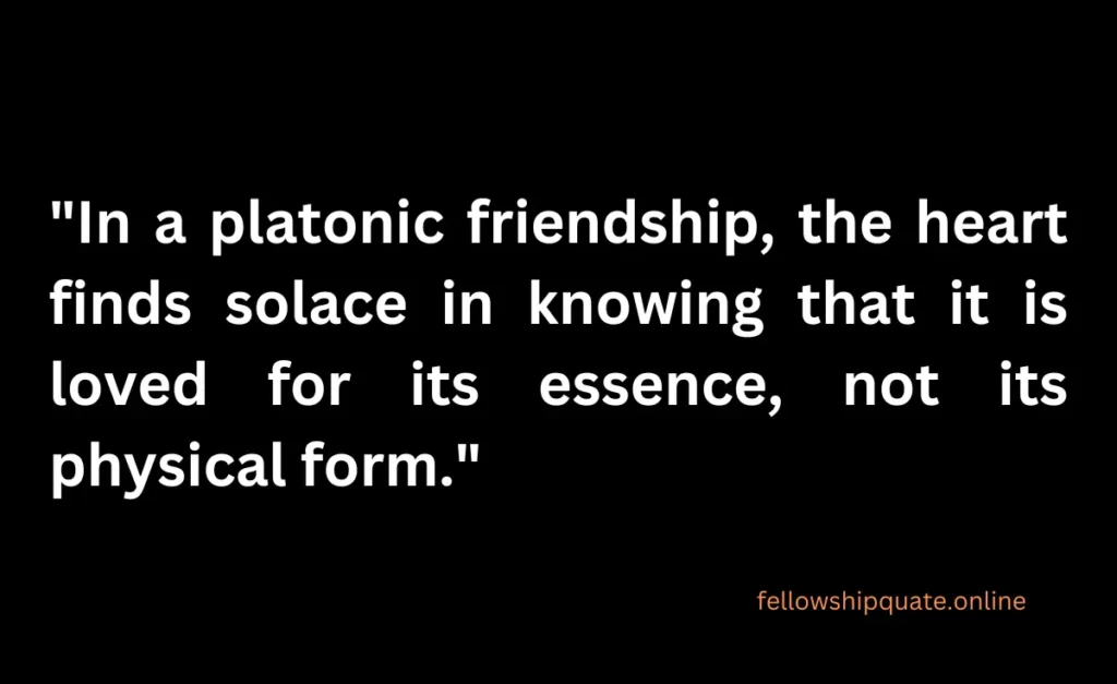 Quotes About Platonic Friendships